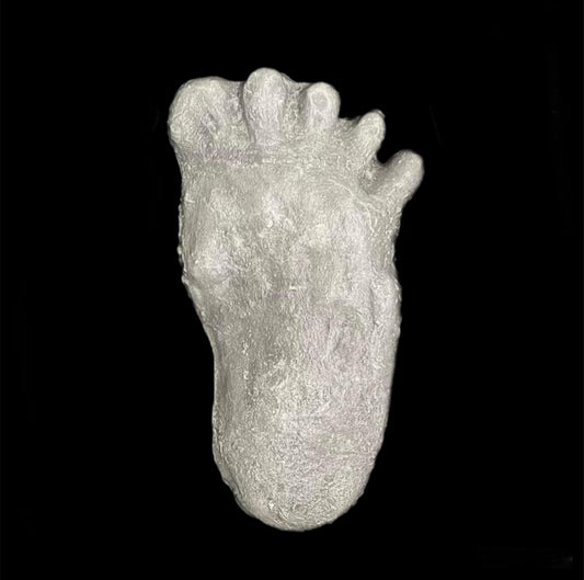 Wrinkle Foot Cast (left)